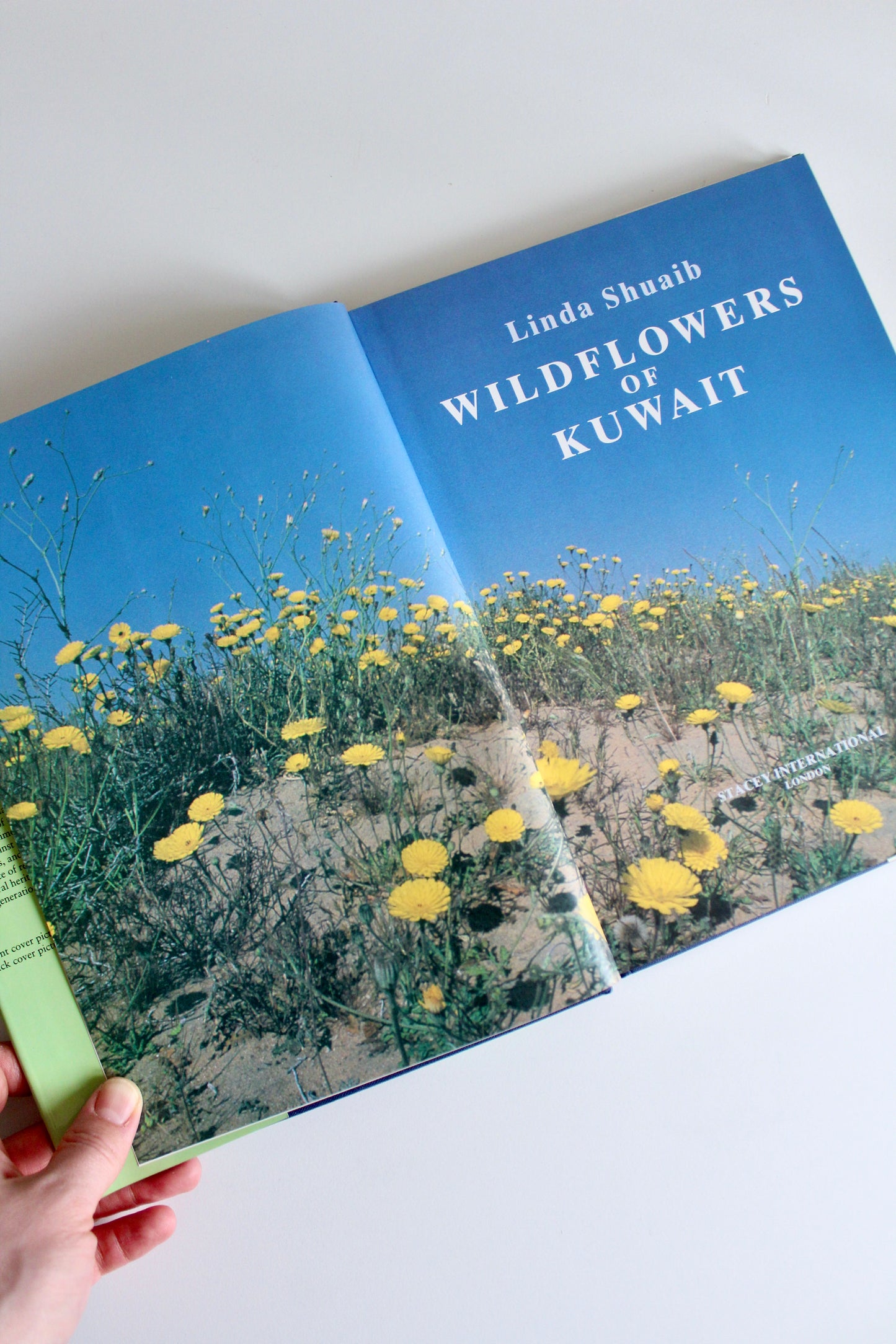Vintage 1995 "Wildflowers of Kuwait" Hardcover by Linda Shuaib – Rare Kuwait Natural History Book