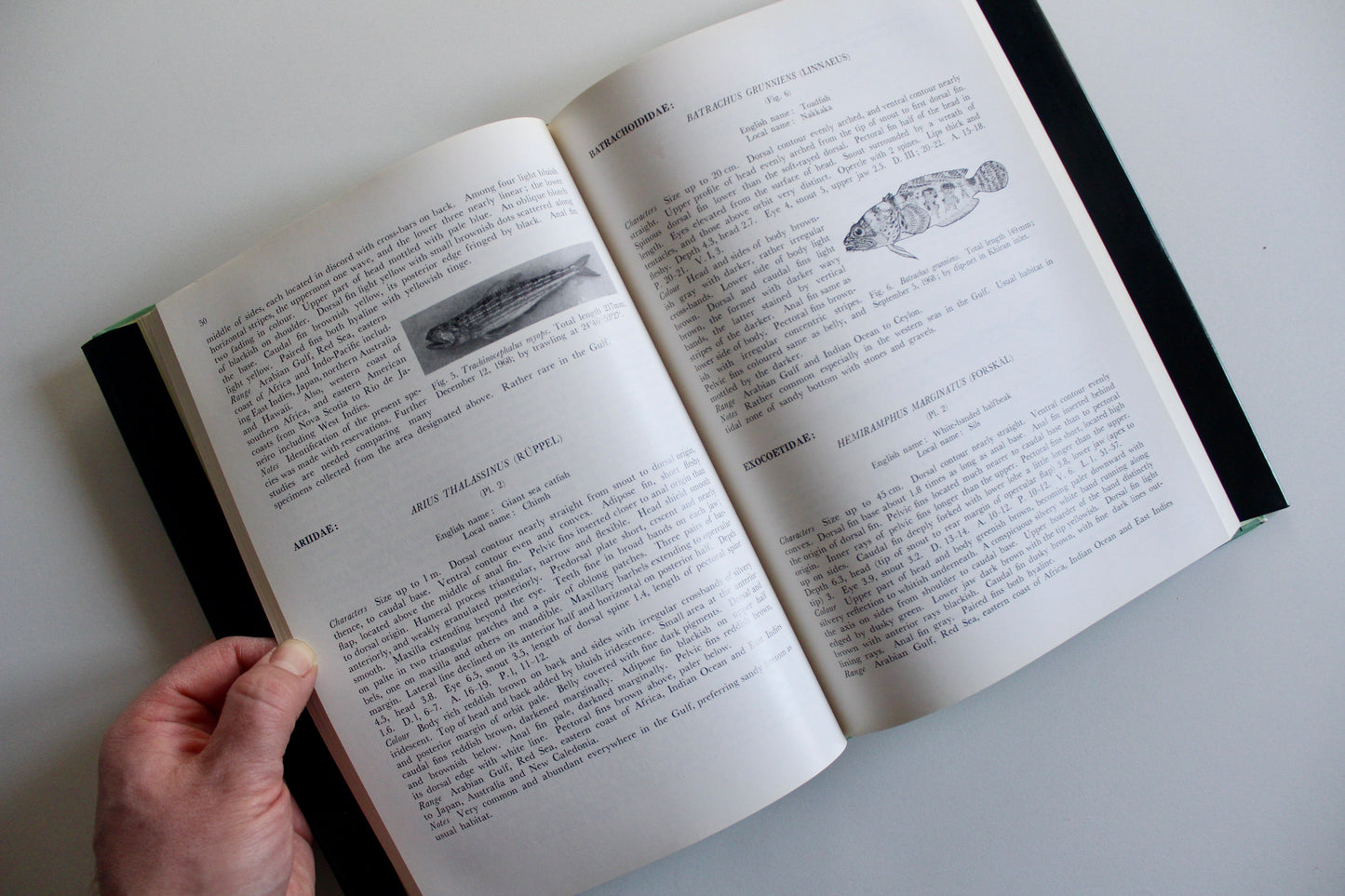 Fishes of Kuwait (1972 First Edition) – KISR Natural History Book with Dust Jacket