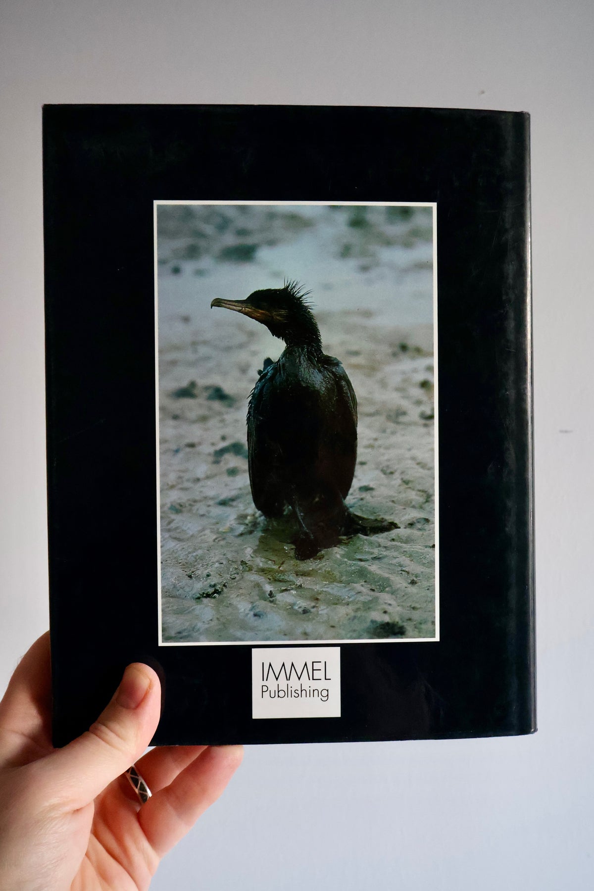 1992 Tides of War: Eco-Disaster in the Gulf – Michael McKinnon & Peter Vine | First Arabian Edition