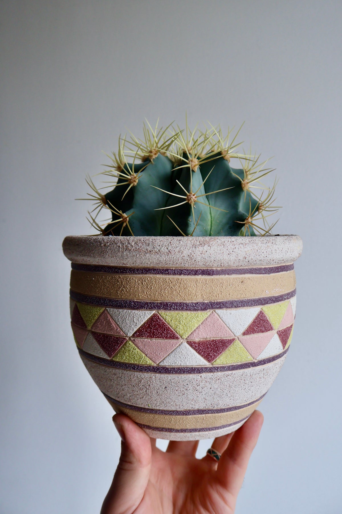 Vintage Geometric Ceramic Planter with Live Cactus
