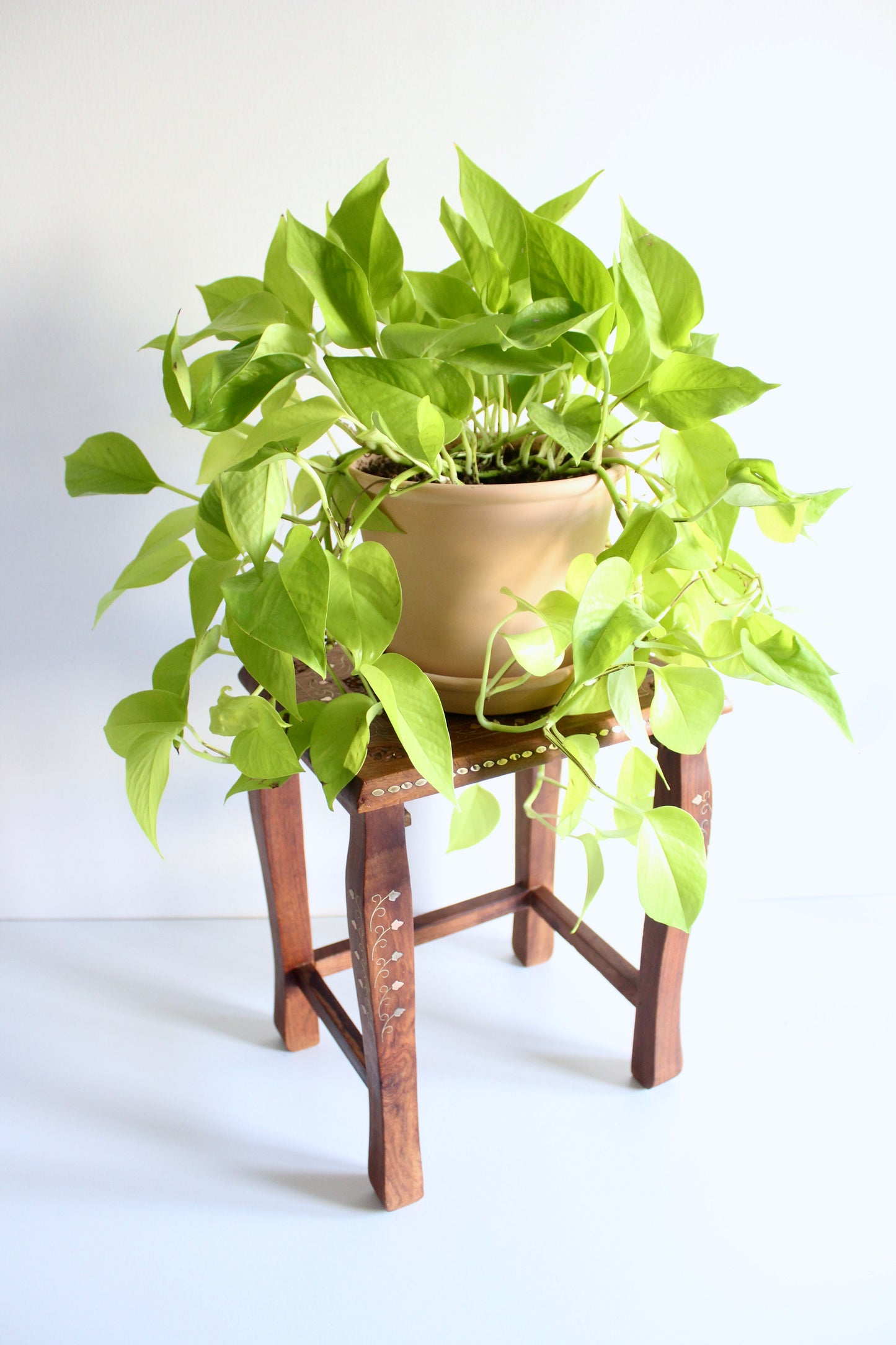 Vintage Rosewood Table/Plant Stand