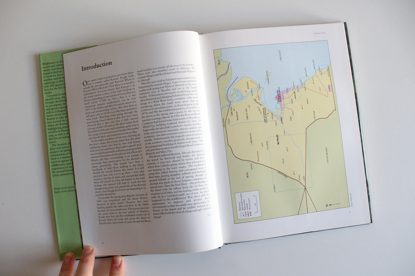Vintage 1995 "Wildflowers of Kuwait" Hardcover by Linda Shuaib – Rare Kuwait Natural History Book