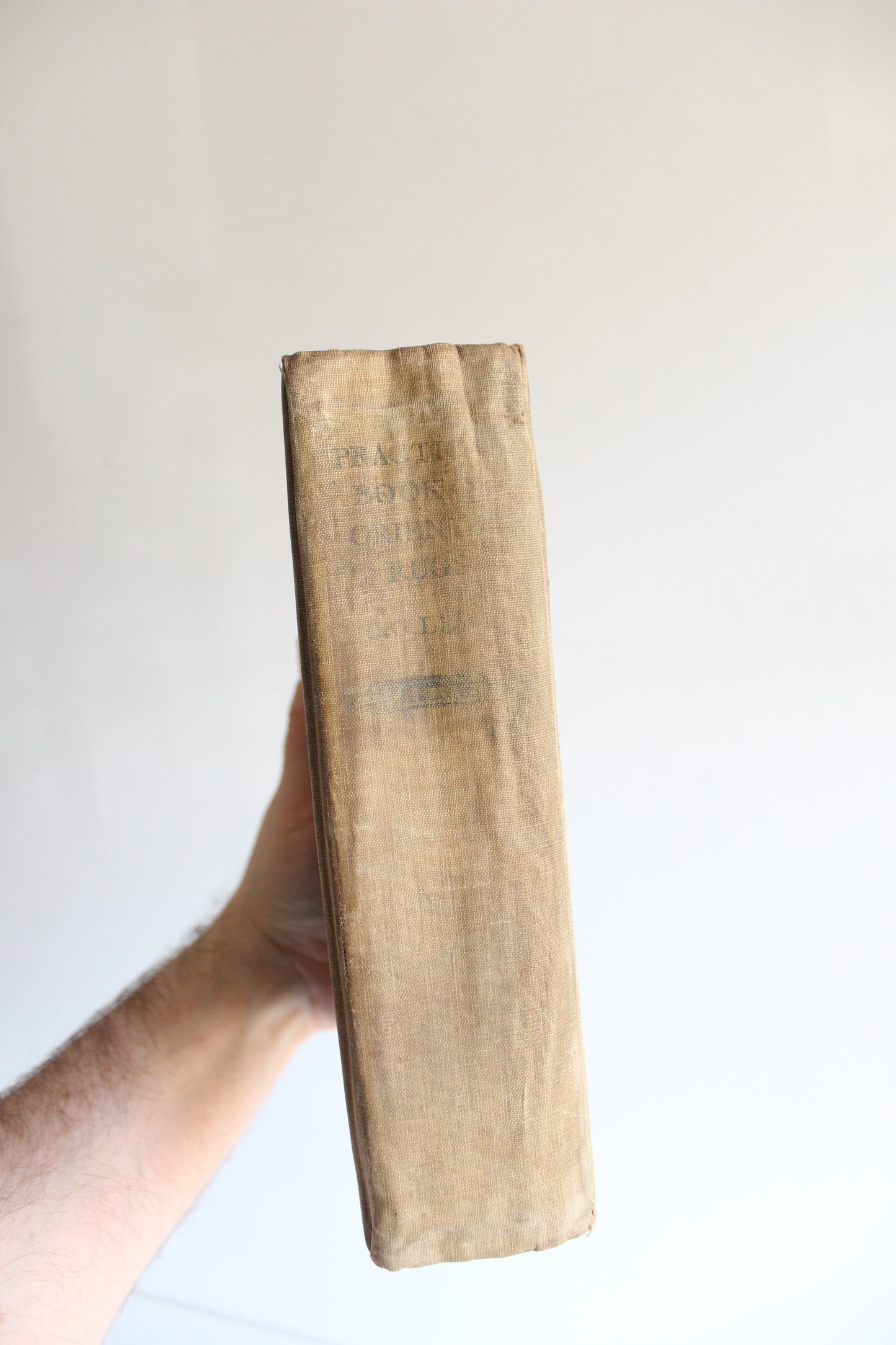 1913 The Practical Book of Oriental Rugs by Dr. G. Griffin Lewis – Illustrated Antique Carpet Reference