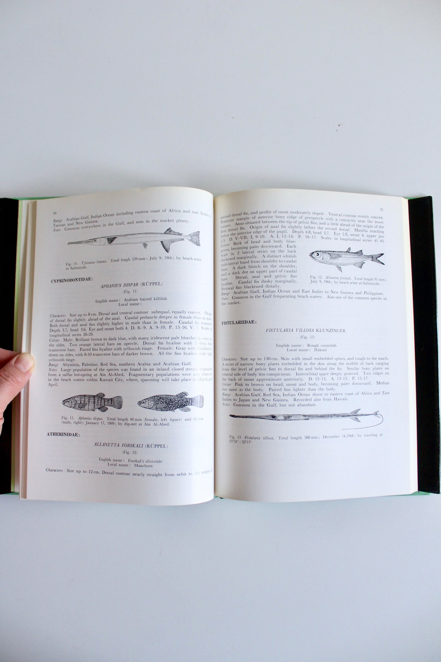 Fishes of Kuwait (1972 First Edition) – KISR Natural History Book with Dust Jacket
