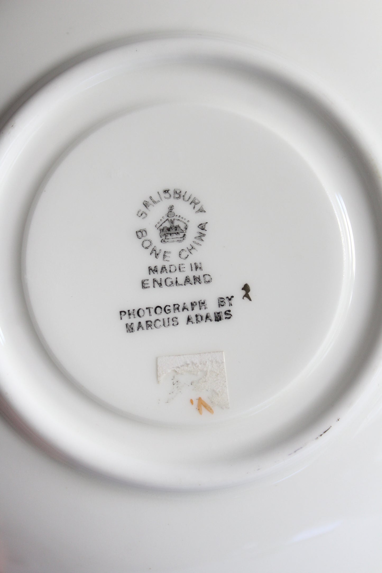 1953 Queen Elizabeth II Coronation Salisbury Bone China Saucer