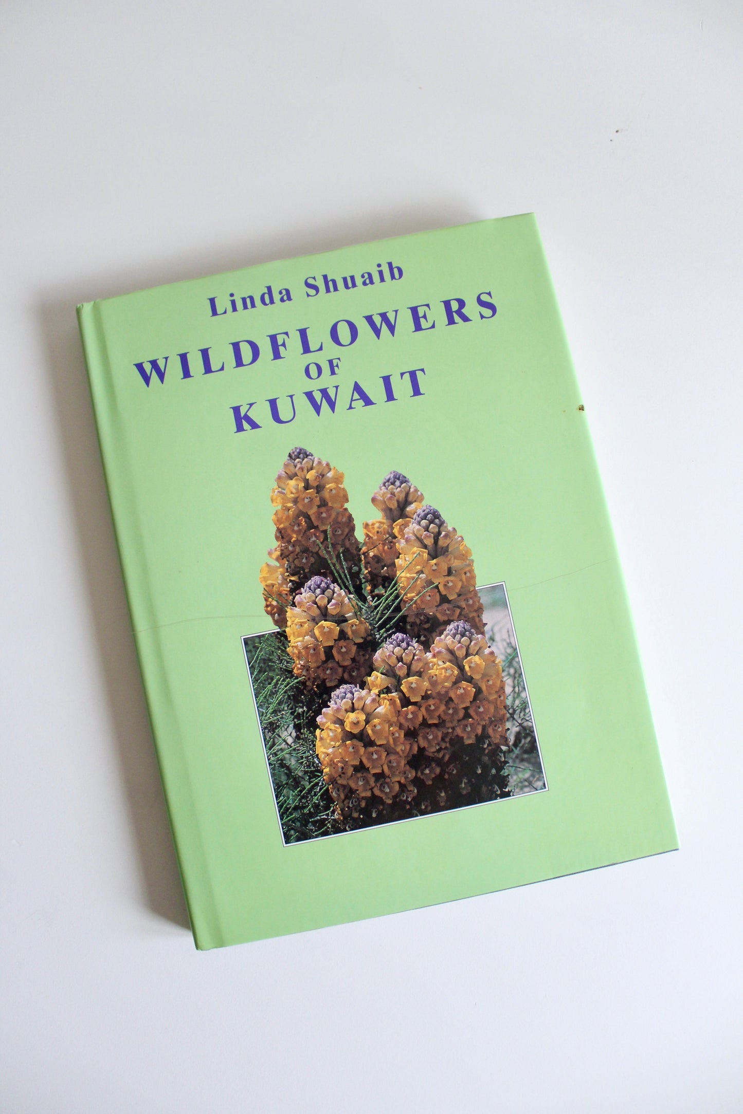 Vintage 1995 "Wildflowers of Kuwait" Hardcover by Linda Shuaib – Rare Kuwait Natural History Book