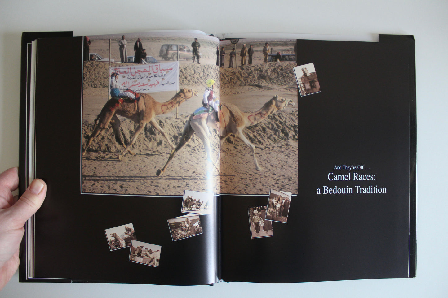 Kuwait Kaleidoscope by Claudia Farkas Al Rashoud (Benefits Charity!)
