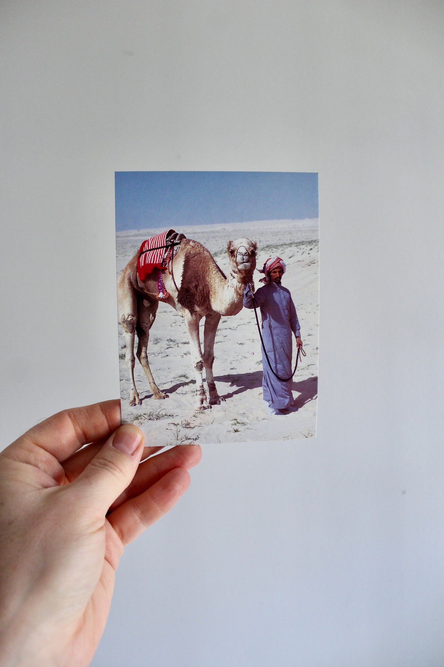 Vintage 1992 Kuwait Photographic Postcards – Claudia Farkas Al Rashoud | Set of Eight  (Benefits Charity!)