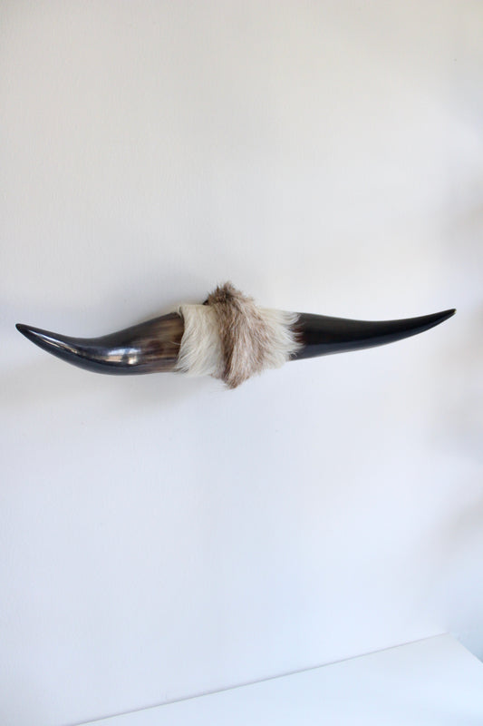 Vintage Decorative Bovine Horn Wall Hanging