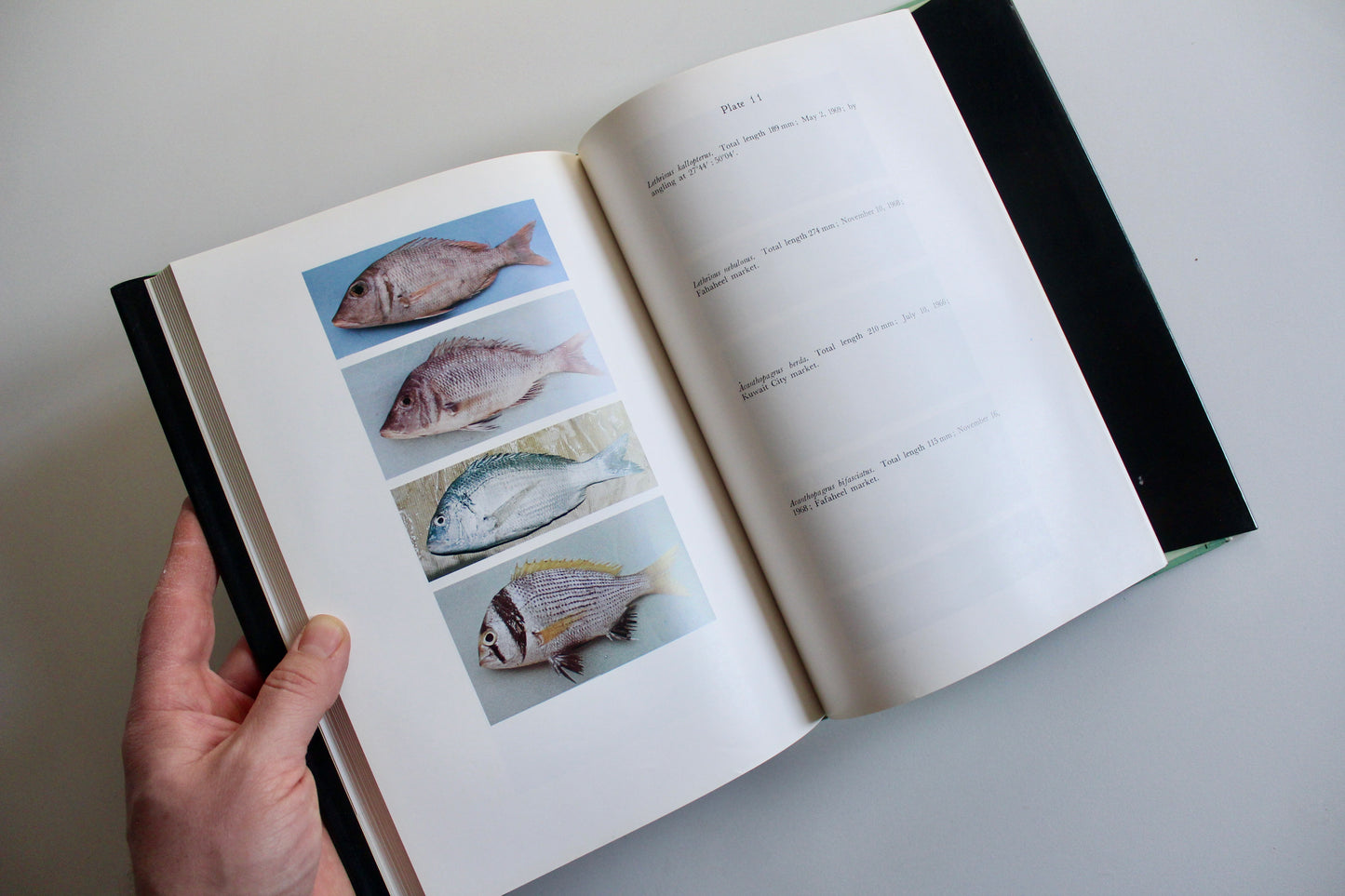 Fishes of Kuwait (1972 First Edition) – KISR Natural History Book with Dust Jacket