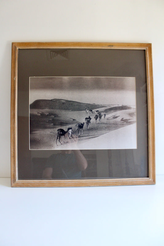 Vintage Old Kuwait Camel Caravan Photograph – Al Muthanna Complex Provenance