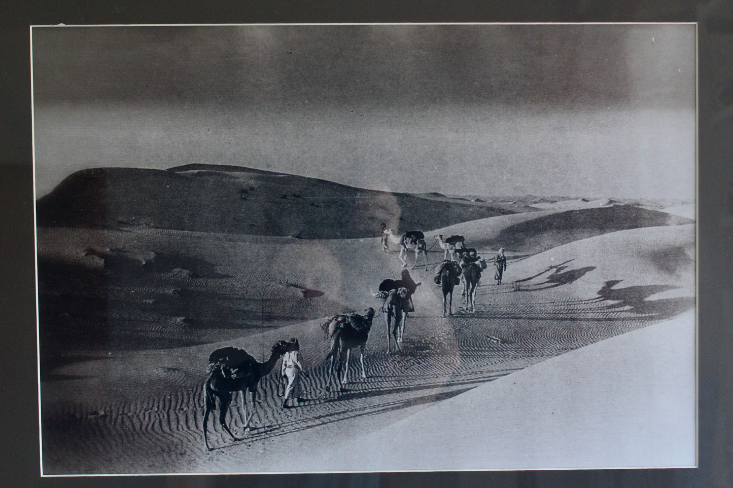 Vintage Old Kuwait Camel Caravan Photograph – Al Muthanna Complex Provenance