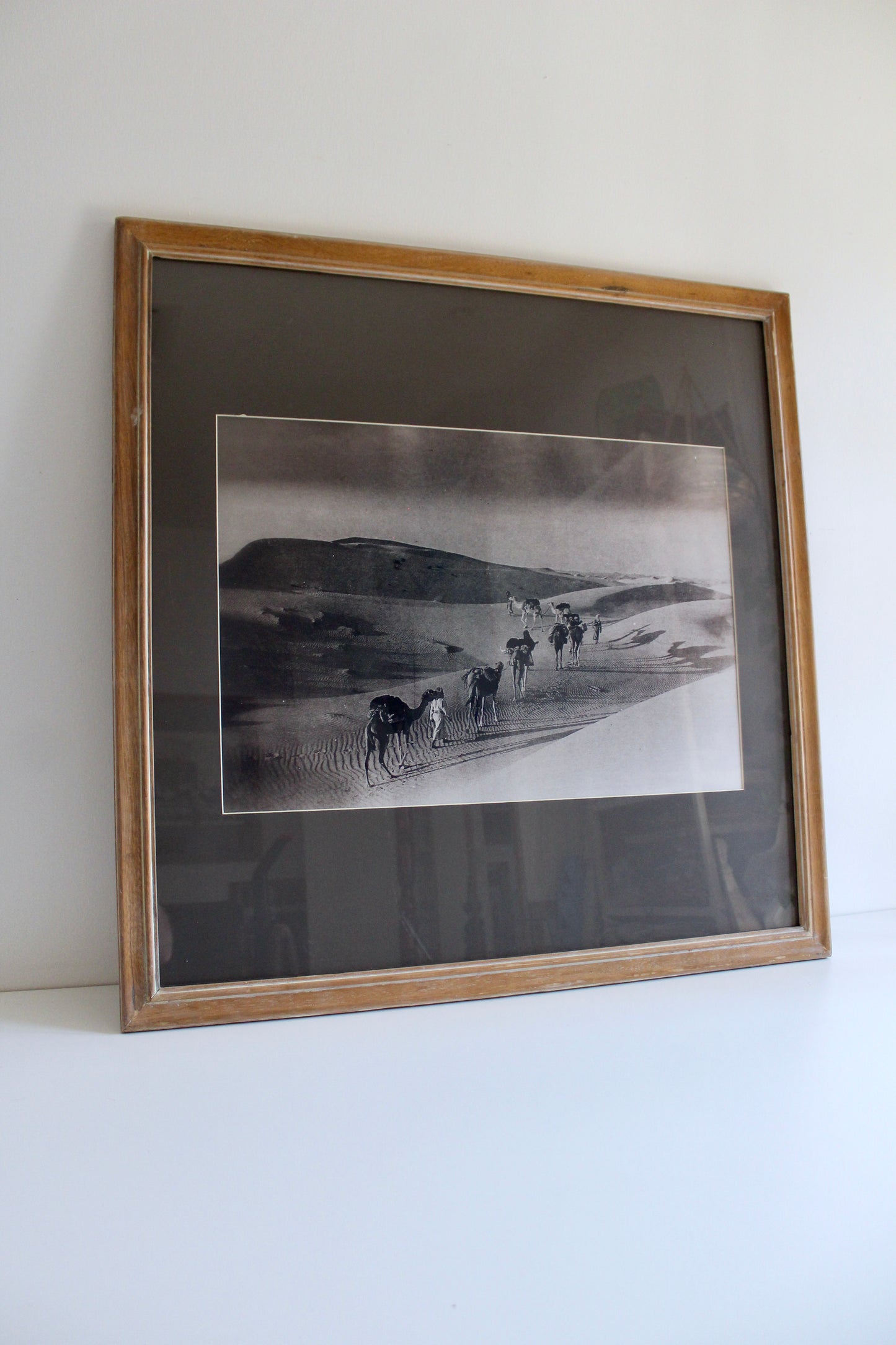 Vintage Old Kuwait Camel Caravan Photograph – Al Muthanna Complex Provenance