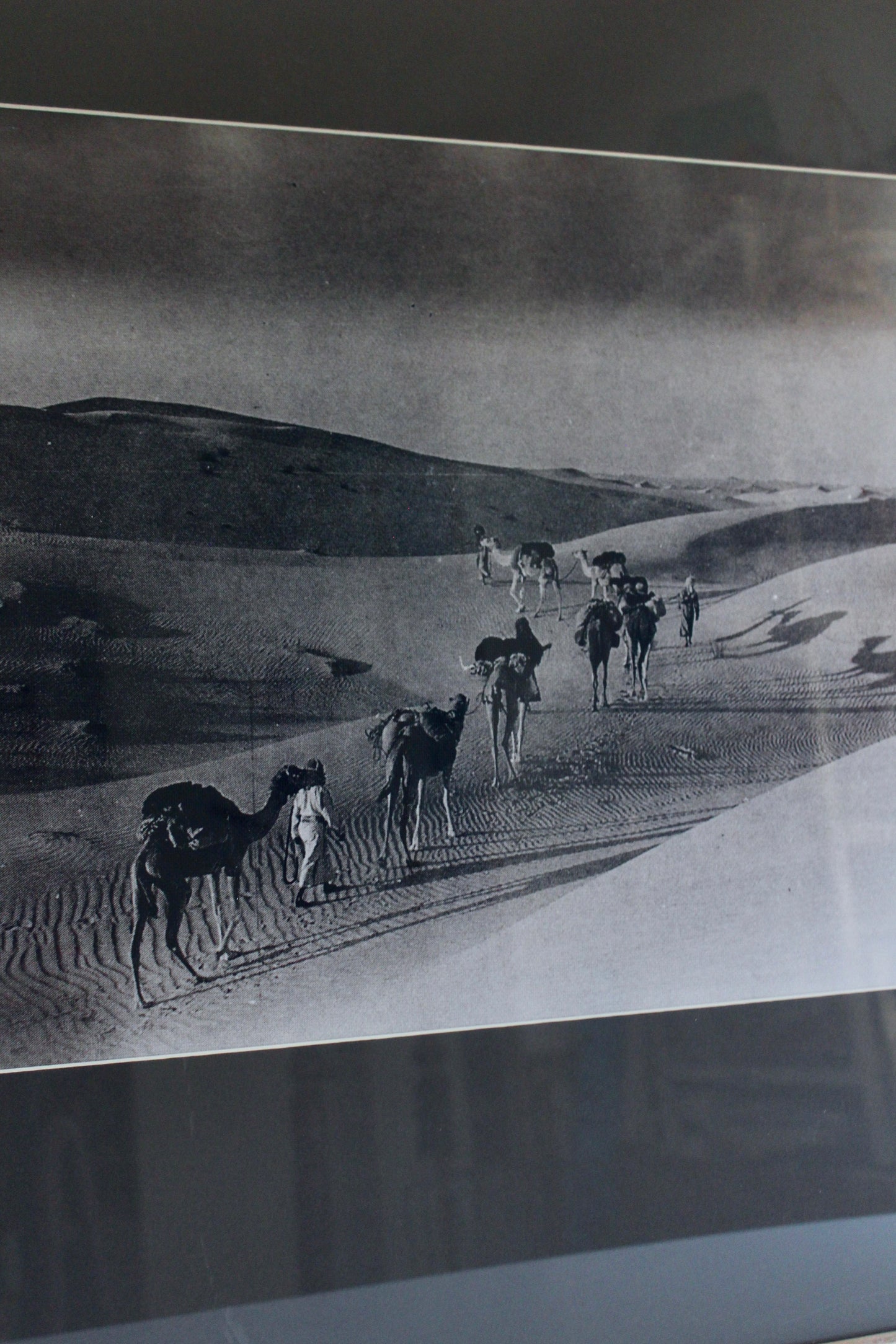 Vintage Old Kuwait Camel Caravan Photograph – Al Muthanna Complex Provenance