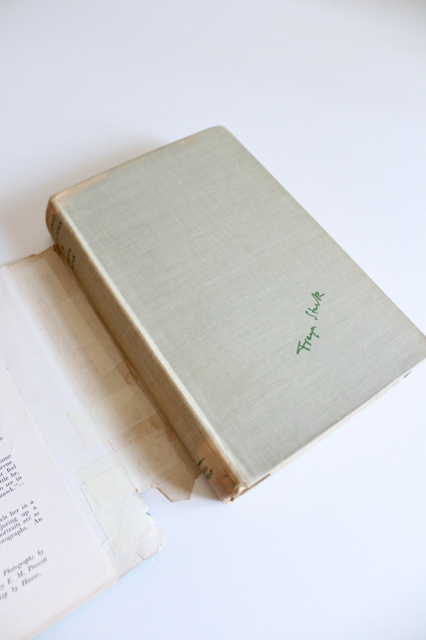 1939 Baghdad Sketches by Freya Stark – Cheap Edition with Original Dust Jacket