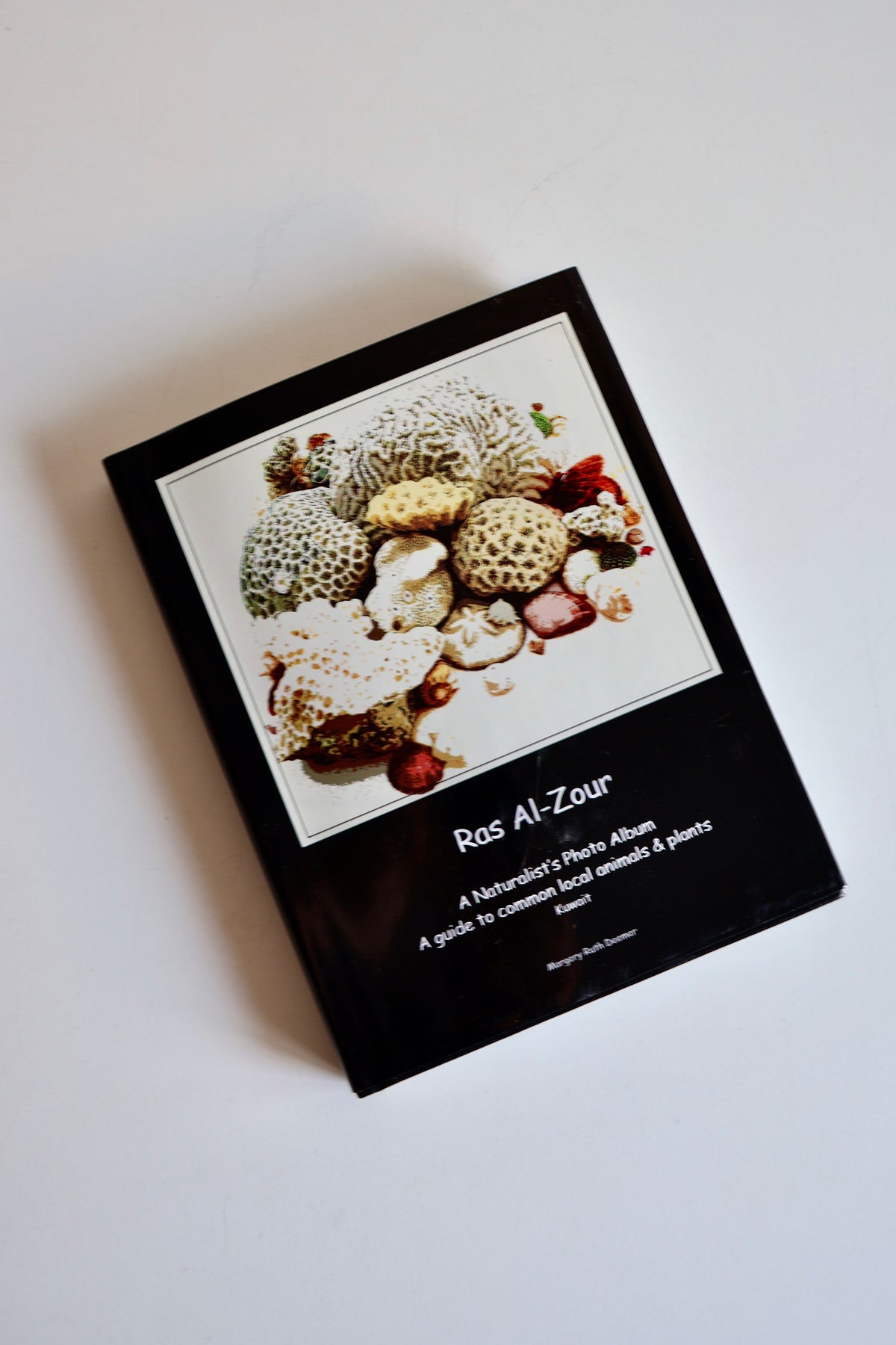 2011 Ras Al-Zour: A Naturalist’s Photo Album – Margery Ruth Deemer | Kuwait Wildlife & Natural History