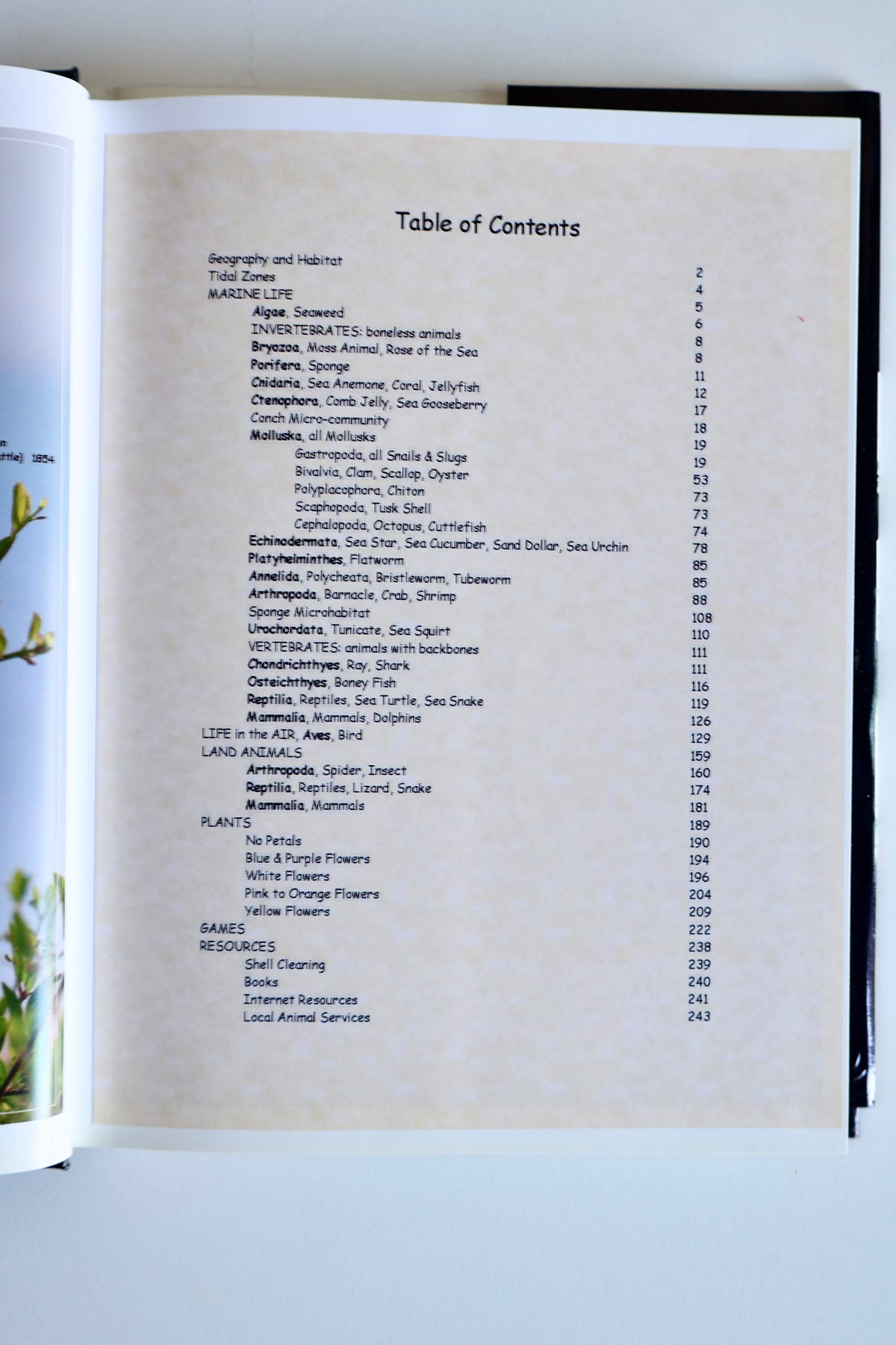 2011 Ras Al-Zour: A Naturalist’s Photo Album – Margery Ruth Deemer | Kuwait Wildlife & Natural History