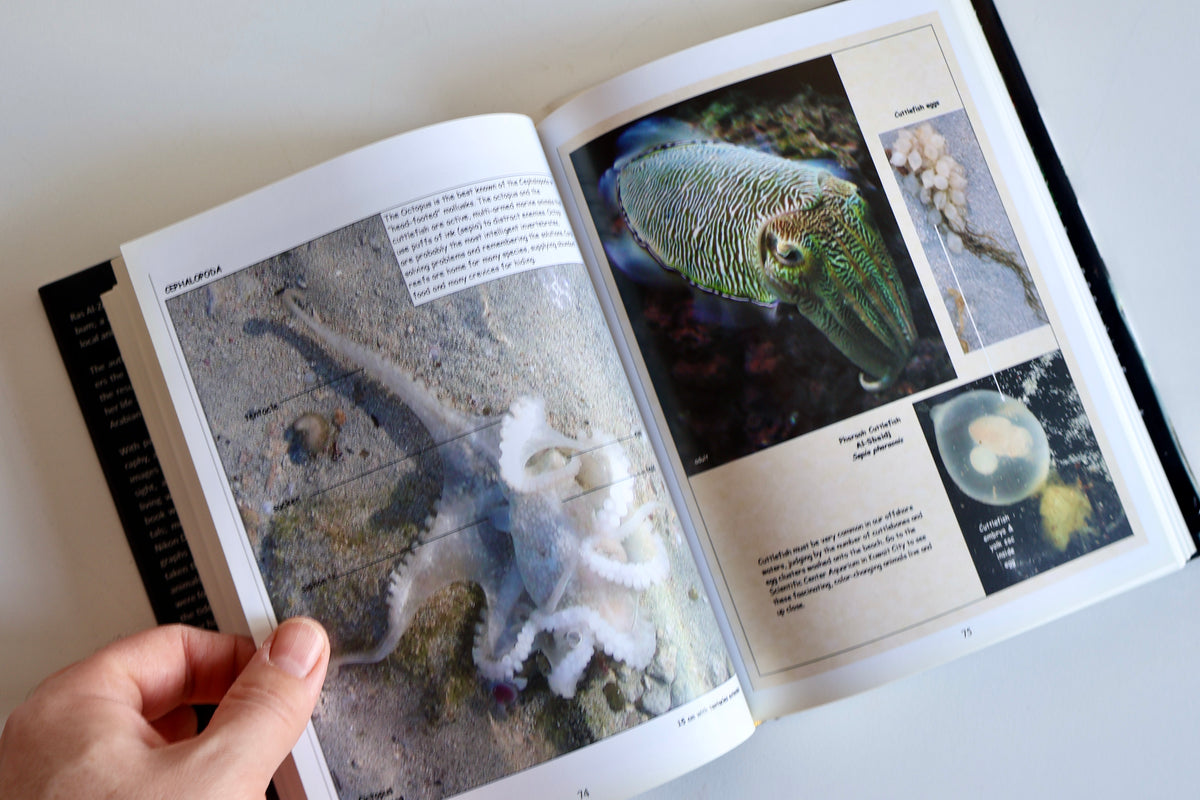 2011 Ras Al-Zour: A Naturalist’s Photo Album – Margery Ruth Deemer | Kuwait Wildlife & Natural History