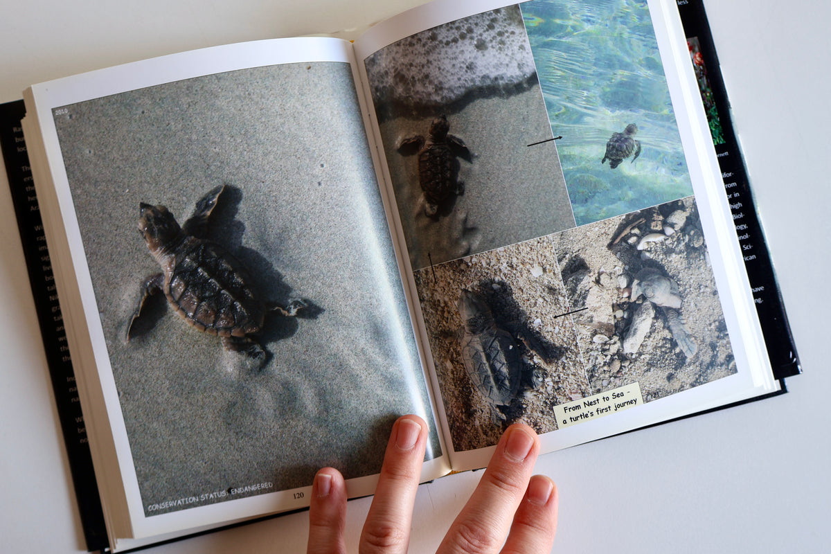 2011 Ras Al-Zour: A Naturalist’s Photo Album – Margery Ruth Deemer | Kuwait Wildlife & Natural History