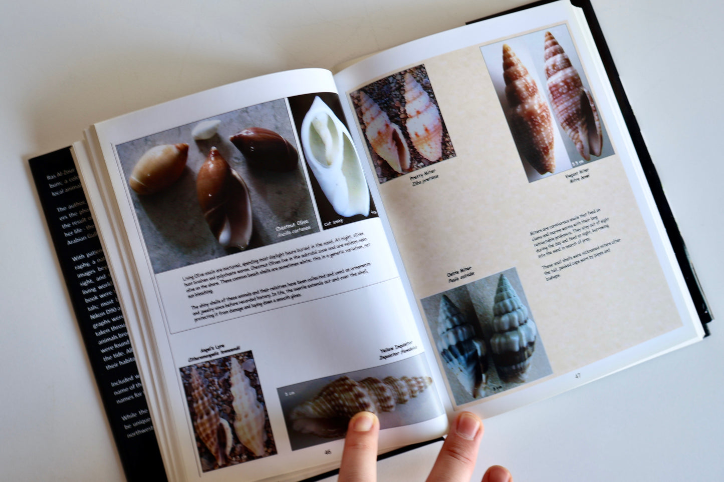 2011 Ras Al-Zour: A Naturalist’s Photo Album – Margery Ruth Deemer | Kuwait Wildlife & Natural History