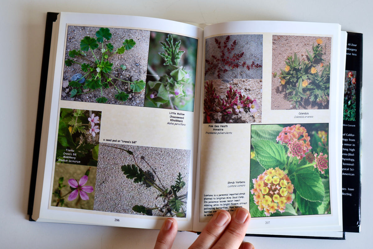 2011 Ras Al-Zour: A Naturalist’s Photo Album – Margery Ruth Deemer | Kuwait Wildlife & Natural History