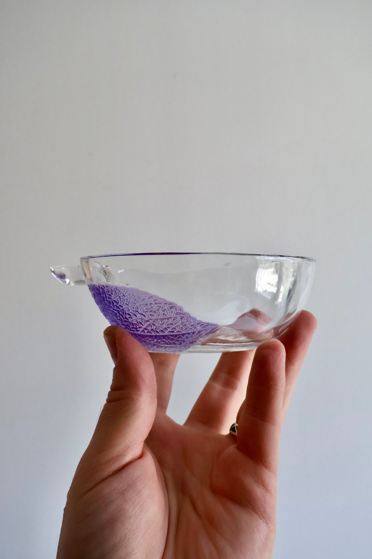 Vintage Indonesian Apple-Shaped Glass Dessert Bowls – Set of 6