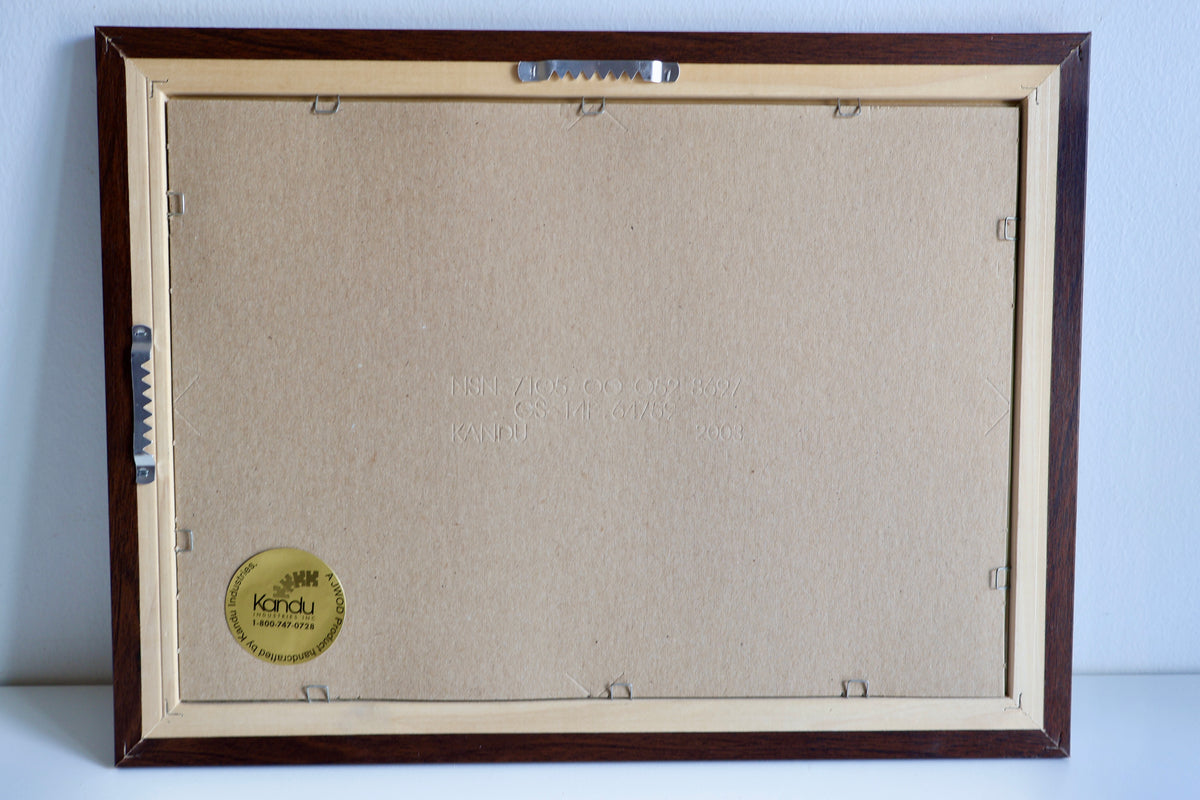 Vintage Framed Map of Arabia & the Near East – 2003 Frame