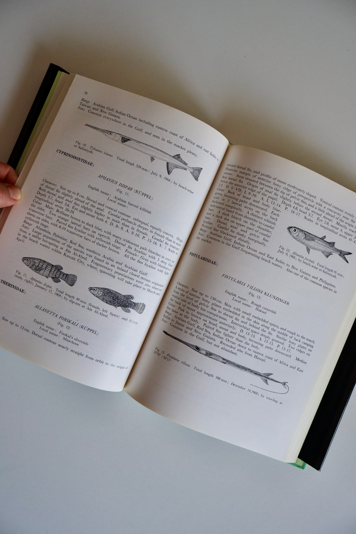 Fishes of Kuwait (1972 First Edition) – KISR Natural History Book with Dust Jacket