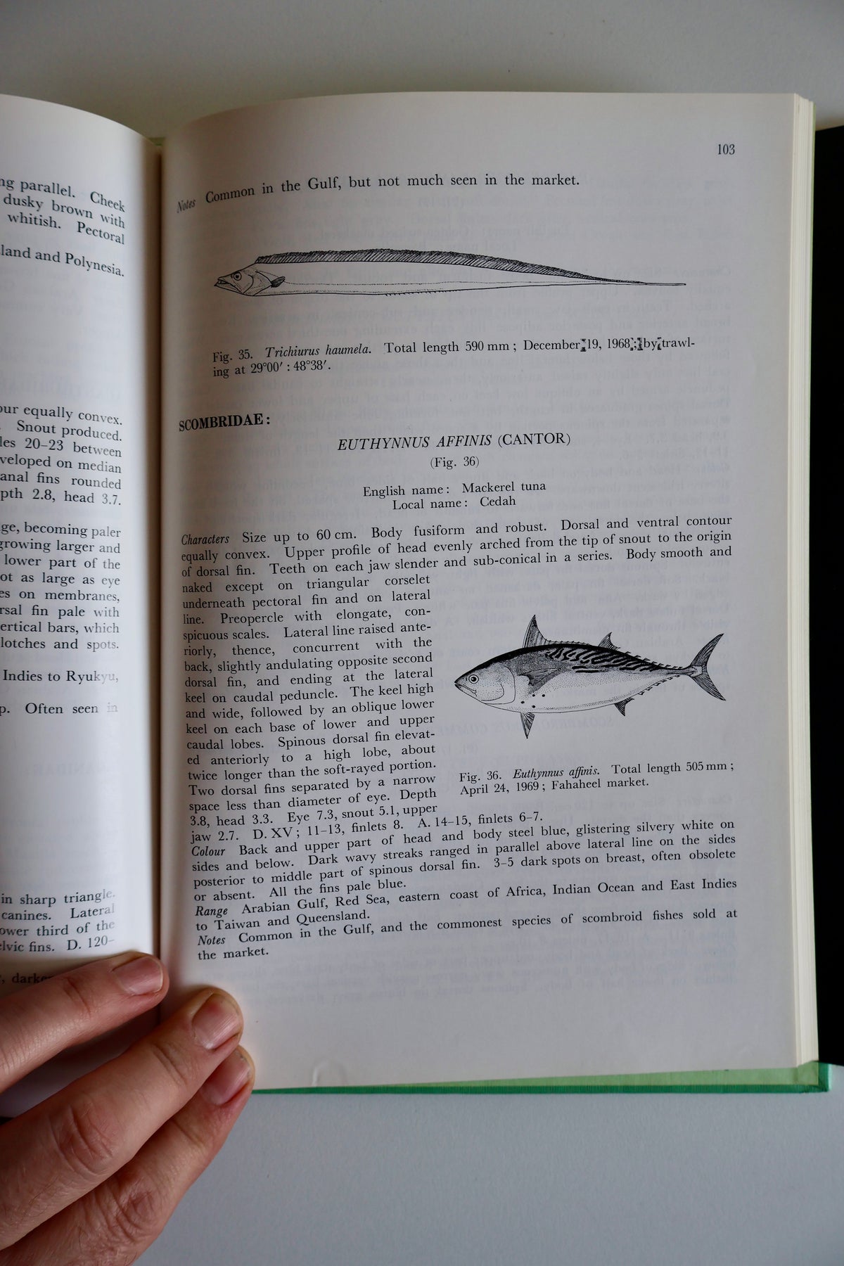 Fishes of Kuwait (1972 First Edition) – KISR Natural History Book with Dust Jacket