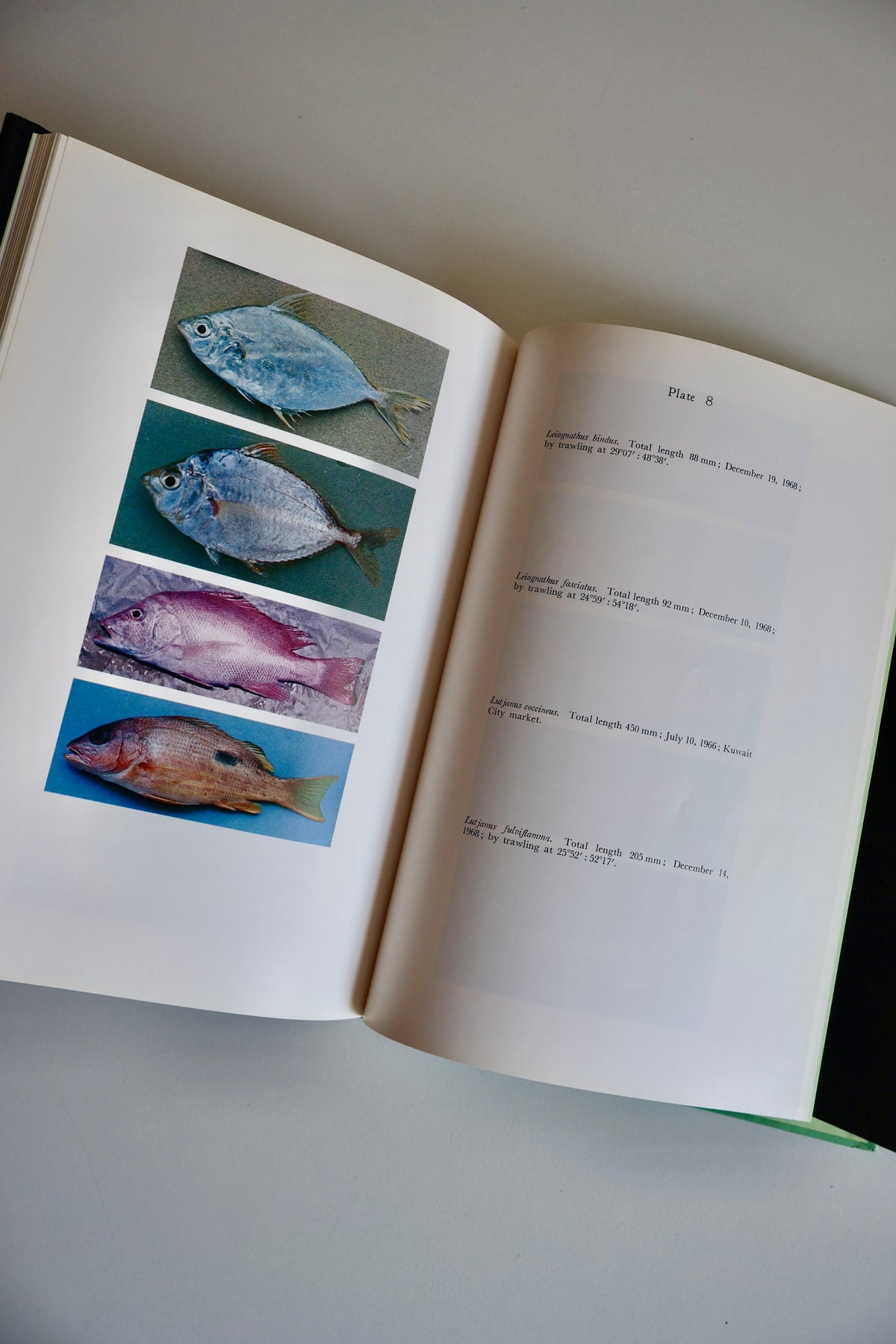Fishes of Kuwait (1972 First Edition) – KISR Natural History Book with Dust Jacket