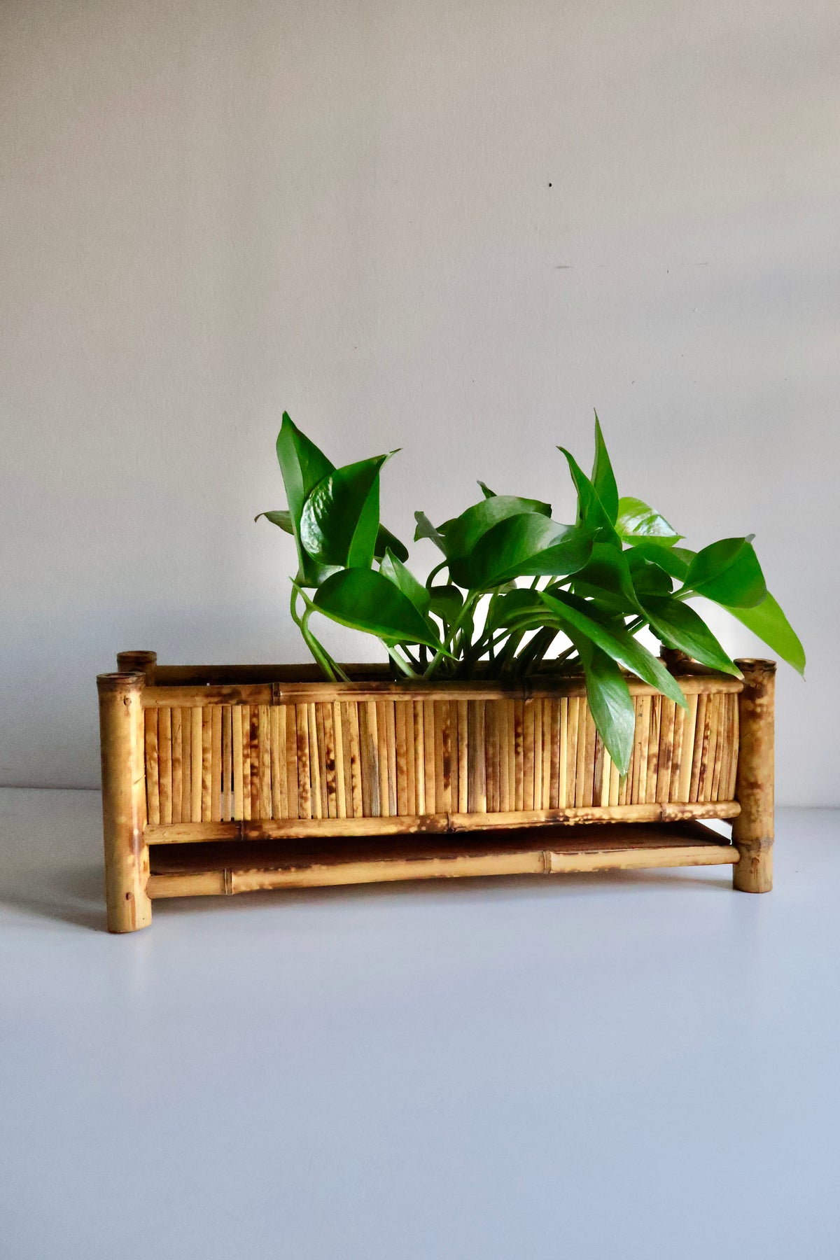 Vintage Bamboo Planter Box with Lower Shelf