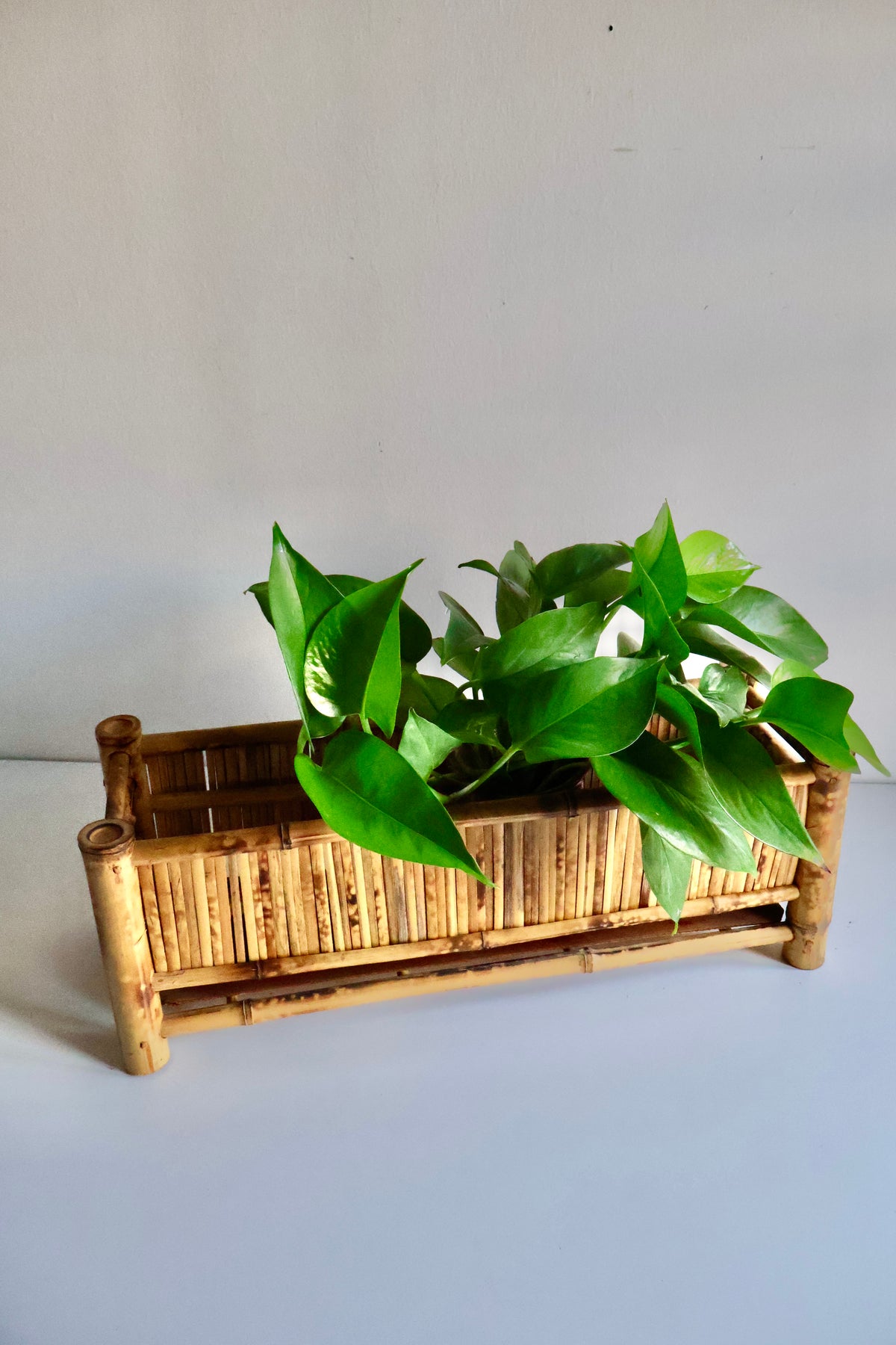 Vintage Bamboo Planter Box with Lower Shelf