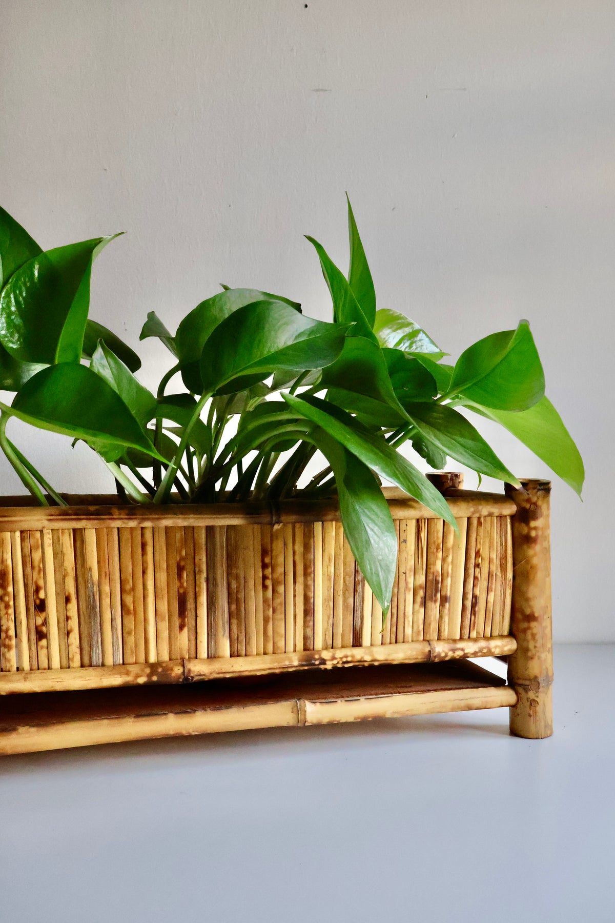 Vintage Bamboo Planter Box with Lower Shelf