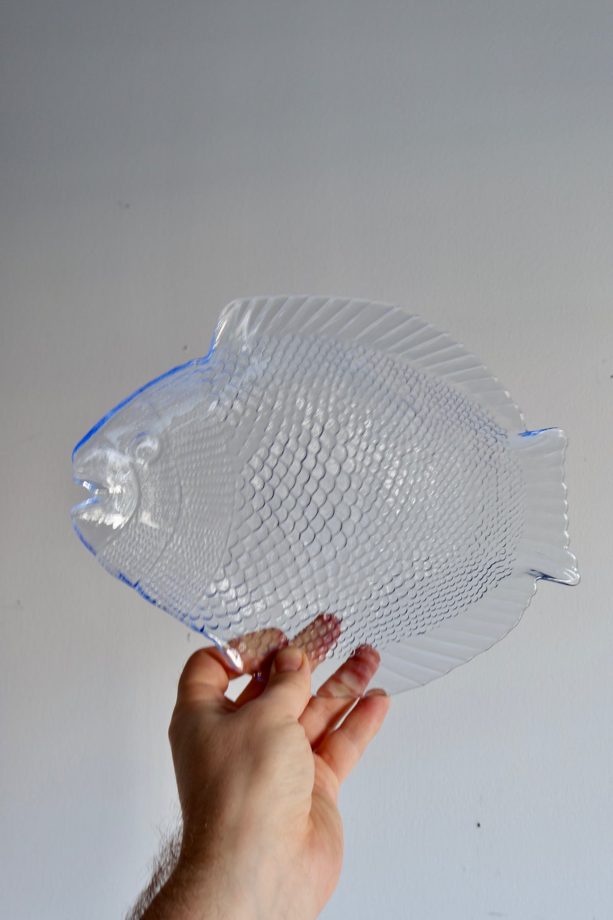 Vintage Blue Glass Fish Plates – Set of 6