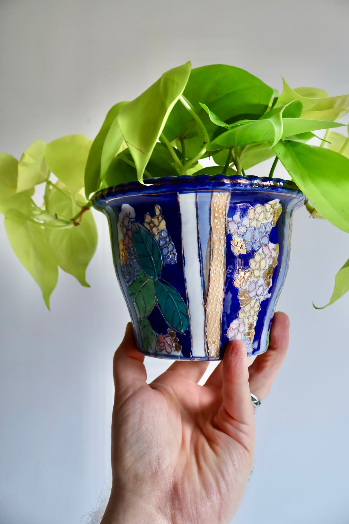 Vintage Chinese Porcelain Planter with Live Neon Pothos