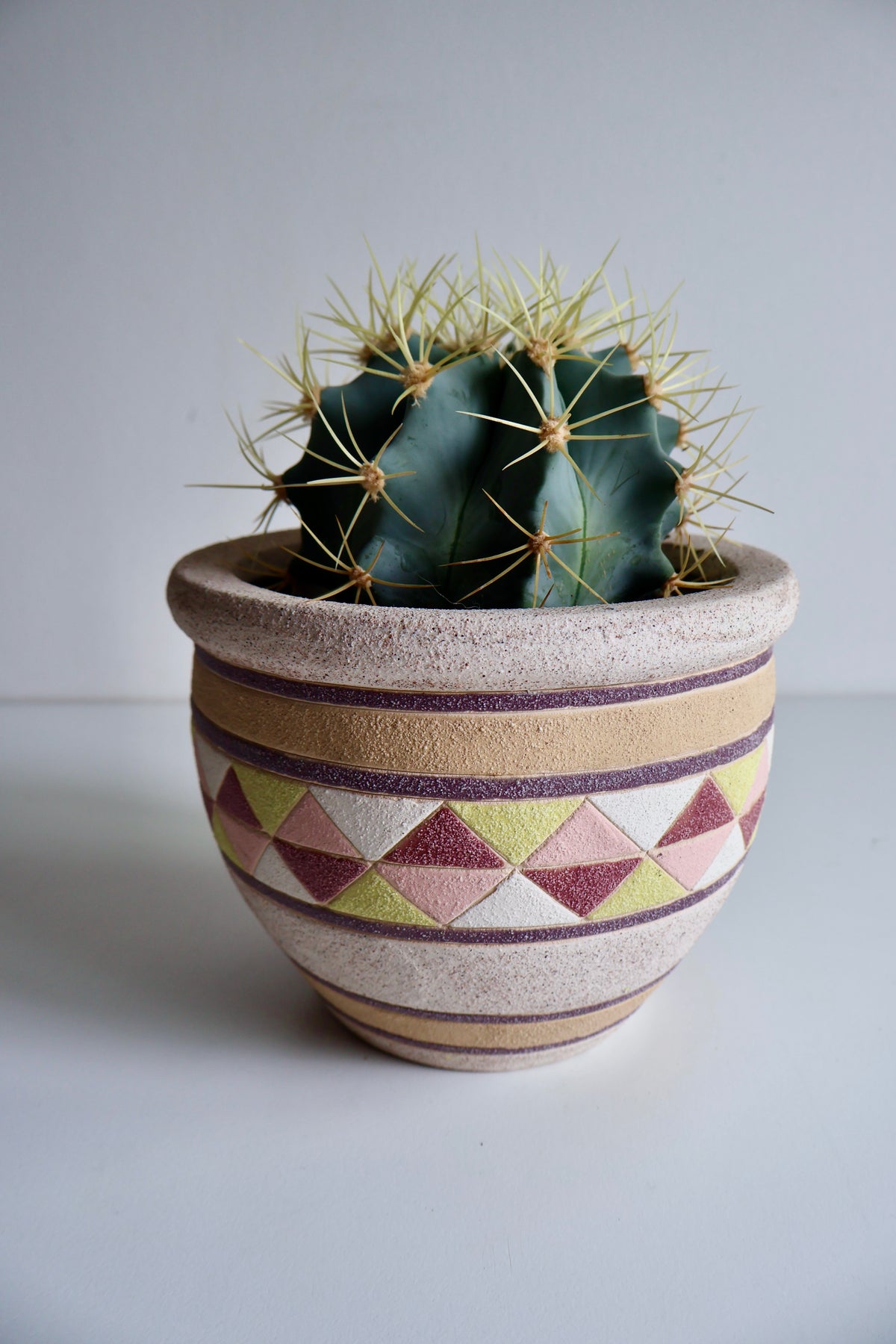 Vintage Geometric Ceramic Planter with Live Cactus