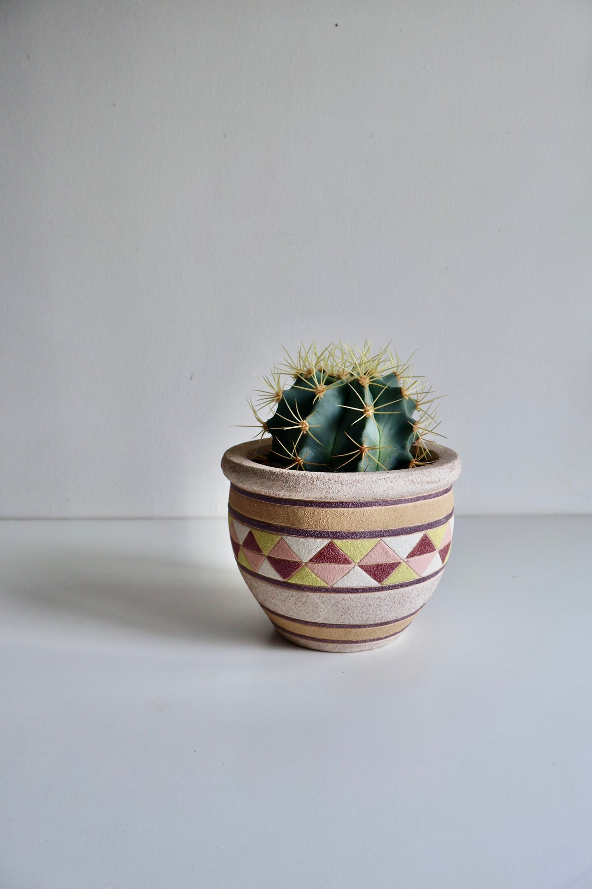 Vintage Geometric Ceramic Planter with Live Cactus
