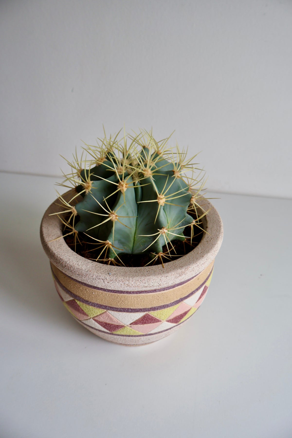 Vintage Geometric Ceramic Planter with Live Cactus