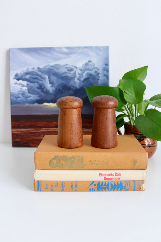 Midcentury Danish Teak Salt and Pepper Shakers