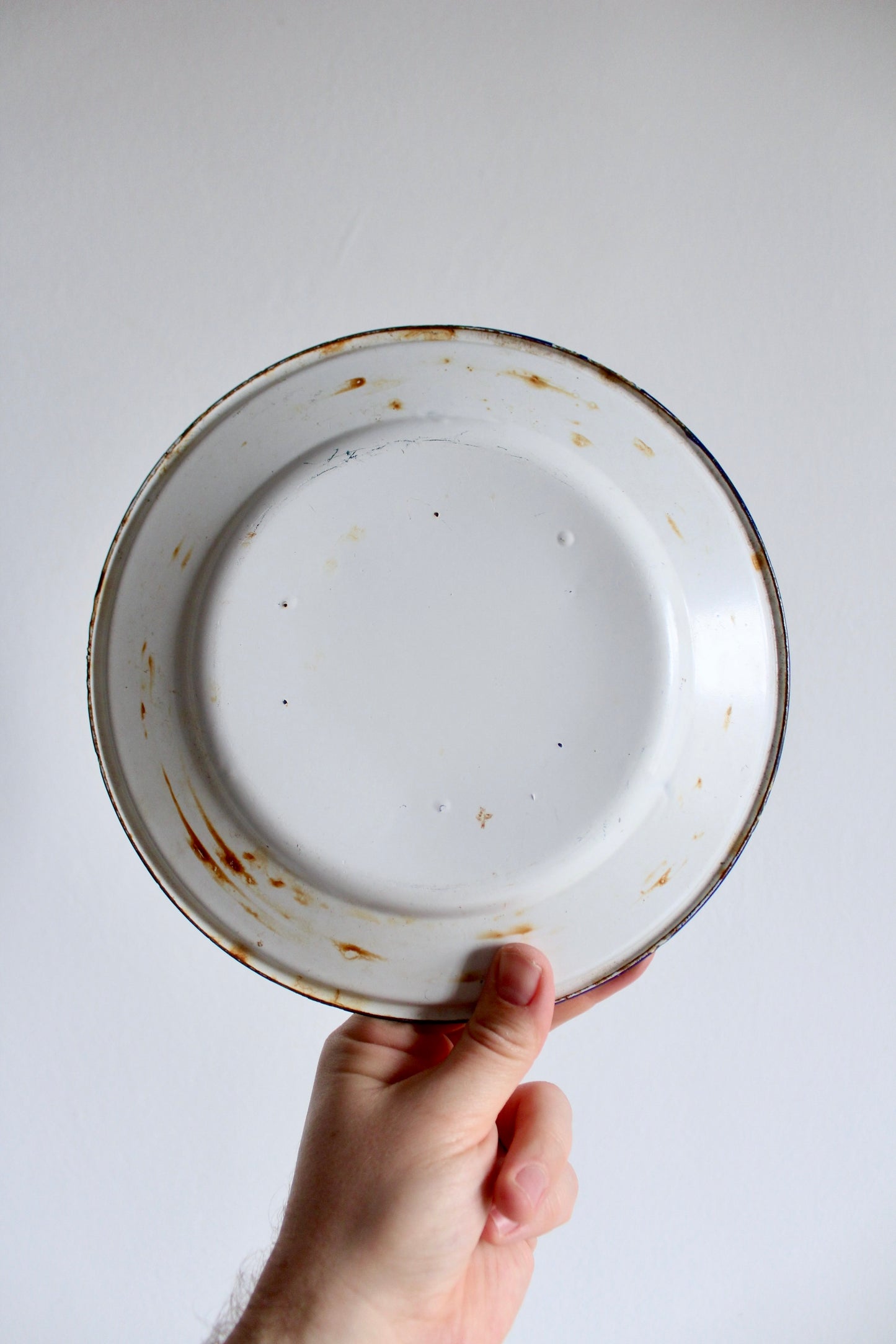 Vintage Enamel Blue Cobalt Fish Plate