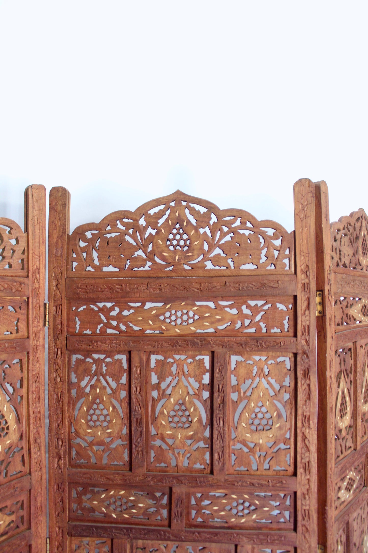 Carved Indian Jali Folding Room Divider