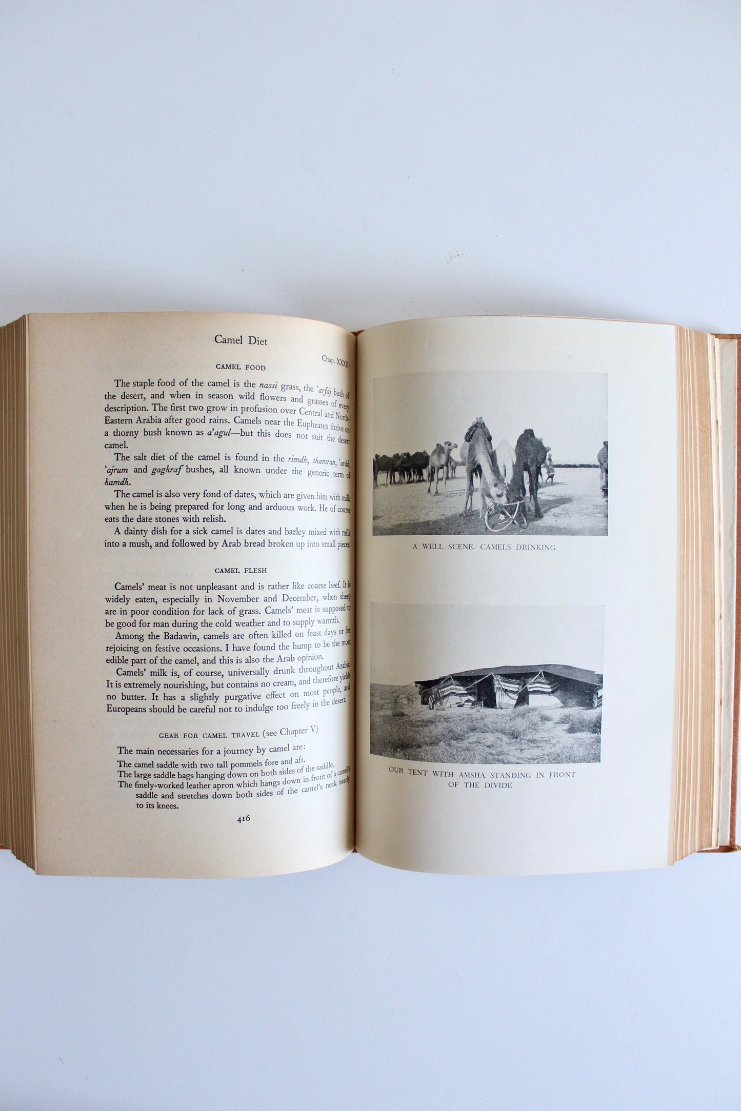 H.R.P. Dickson – The Arab of the Desert: Signed by Violet Dickson (1968)