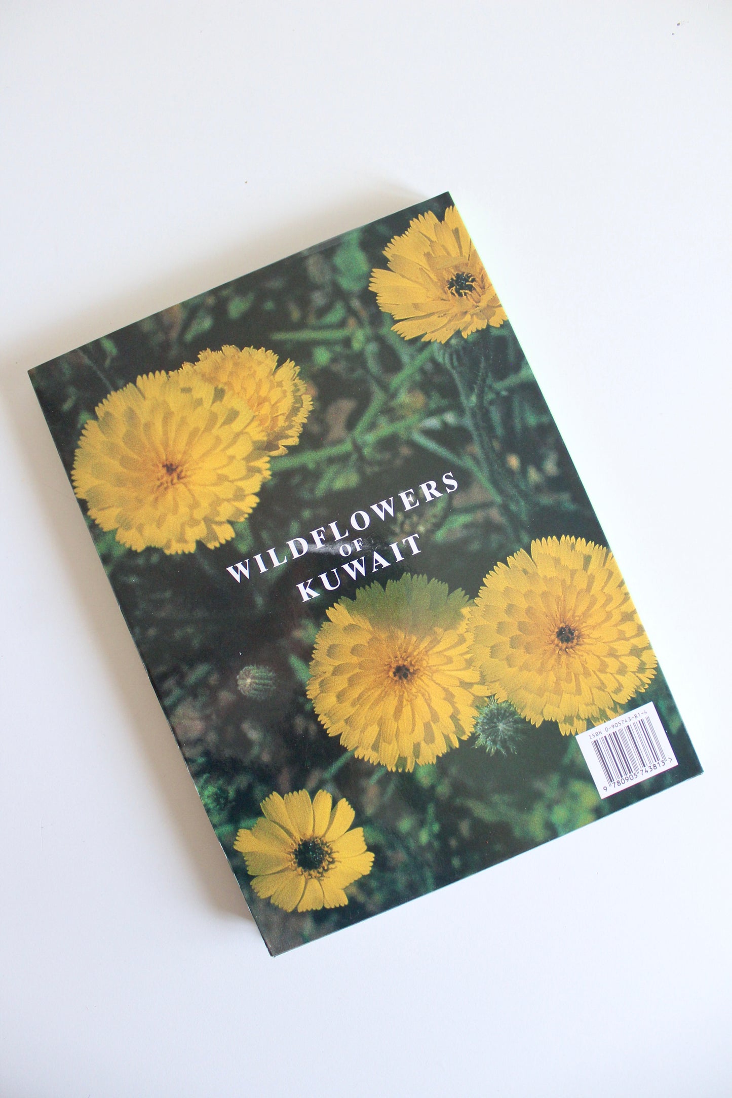 Vintage 1995 "Wildflowers of Kuwait" Hardcover by Linda Shuaib – Rare Kuwait Natural History Book