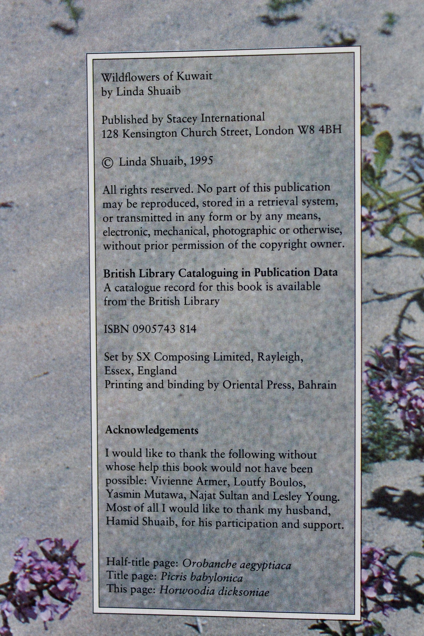 Vintage 1995 "Wildflowers of Kuwait" Hardcover by Linda Shuaib – Rare Kuwait Natural History Book