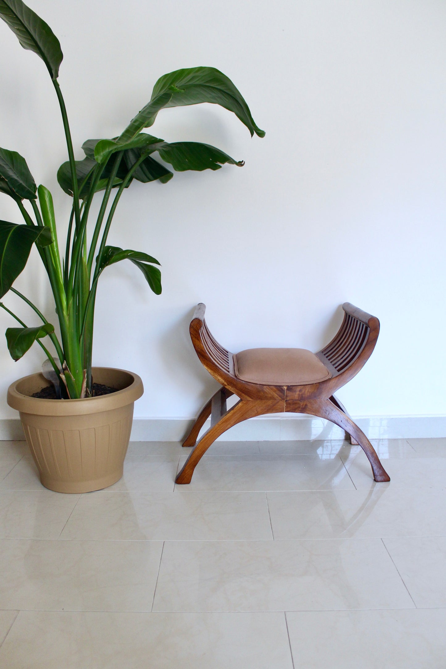 Indian Colonial-Style Curved Wooden Bench with Custom Cushion