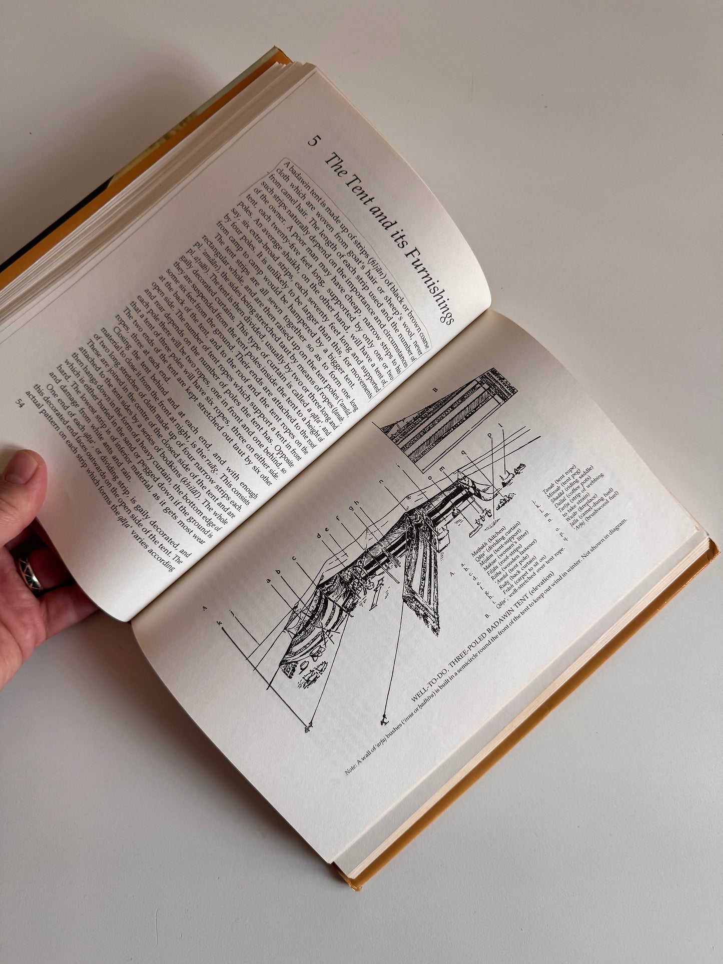 The Arab of the Desert – H.R.P. Dickson, 1983 Third Edition