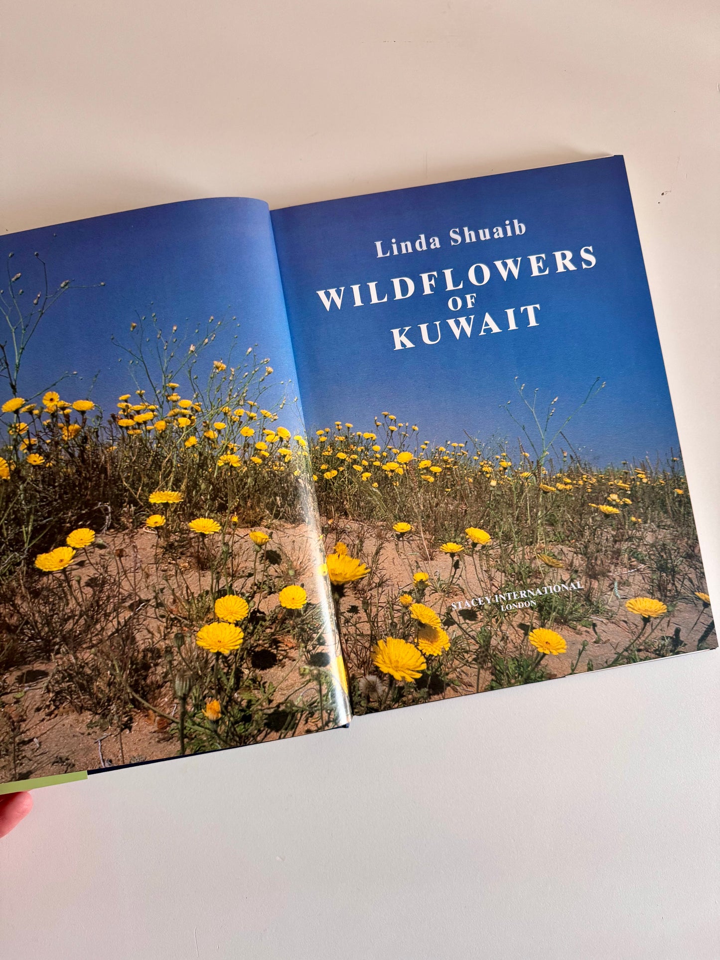 Vintage 1995 "Wildflowers of Kuwait" Hardcover by Linda Shuaib – Rare Kuwait Natural History Book