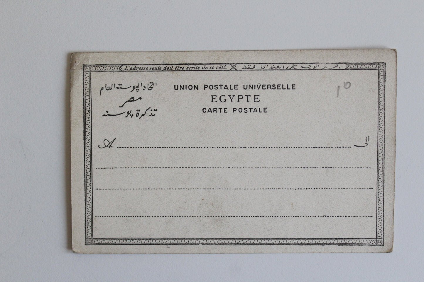 Egyptian Date Palm Harvest Postcard – Cairo, c. 1901–1904