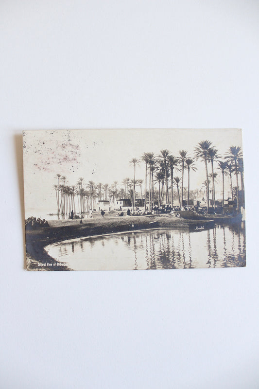 Antique Egyptian Postcard – General View of Bedrechein, c. 1900