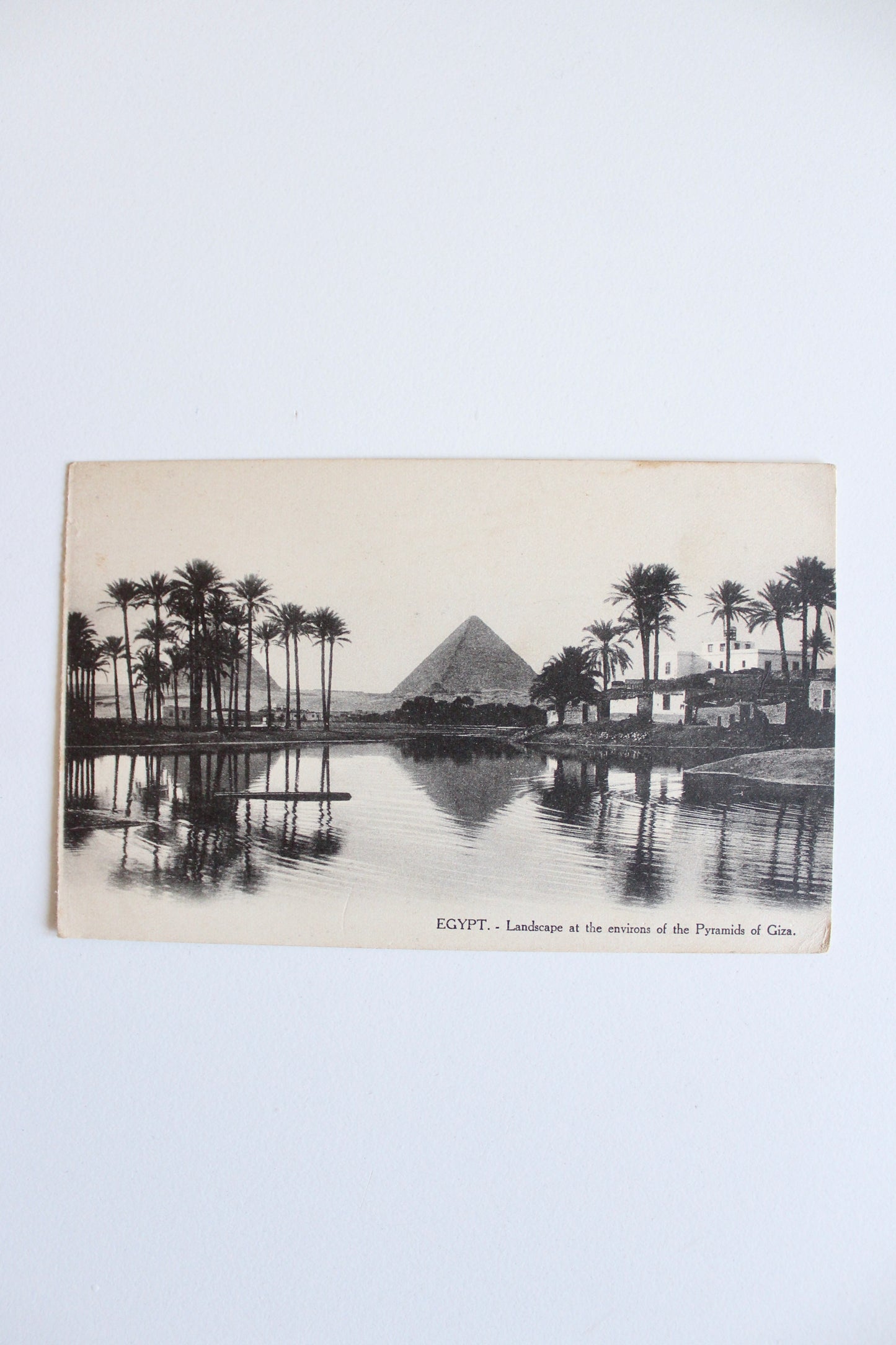 Vintage Egyptian Postcard – Landscape Near the Pyramids of Giza, c. 1910–1925